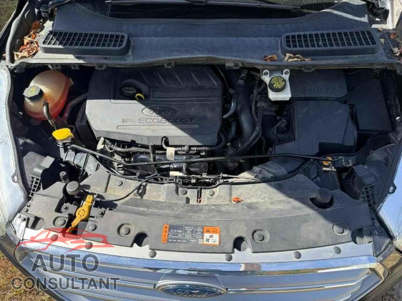 FORD ESCAPE 2017 - 1FMCU9GD2HUA33113