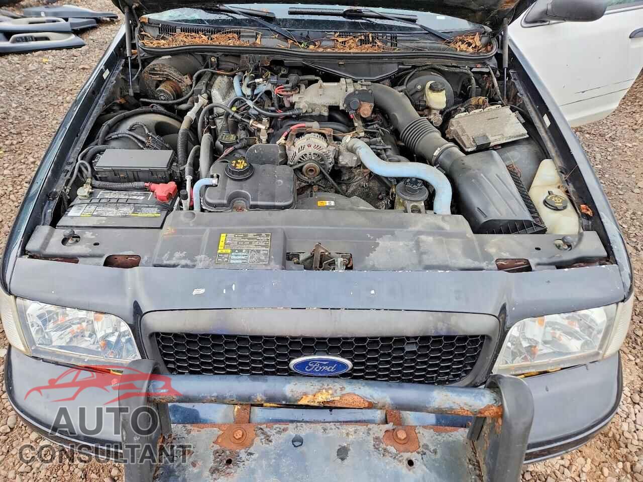 FORD CROWN VIC 2010 - 2FABP7BV2AX136810