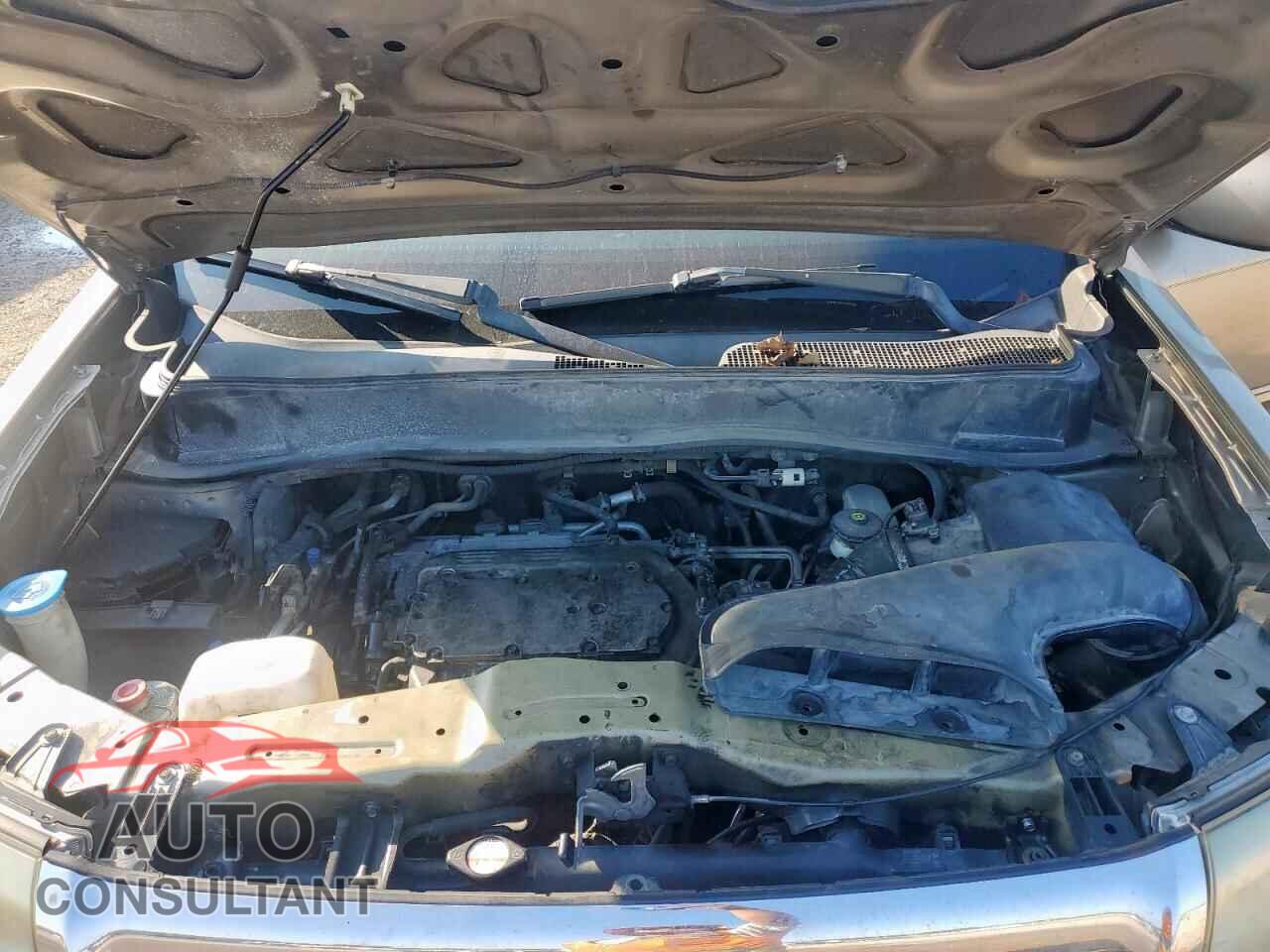 HONDA PILOT 2011 - 5FNYF3H5XBB045602