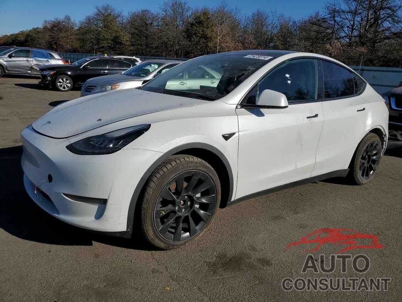 TESLA MODEL Y 2021 - 5YJYGDEE0MF088517