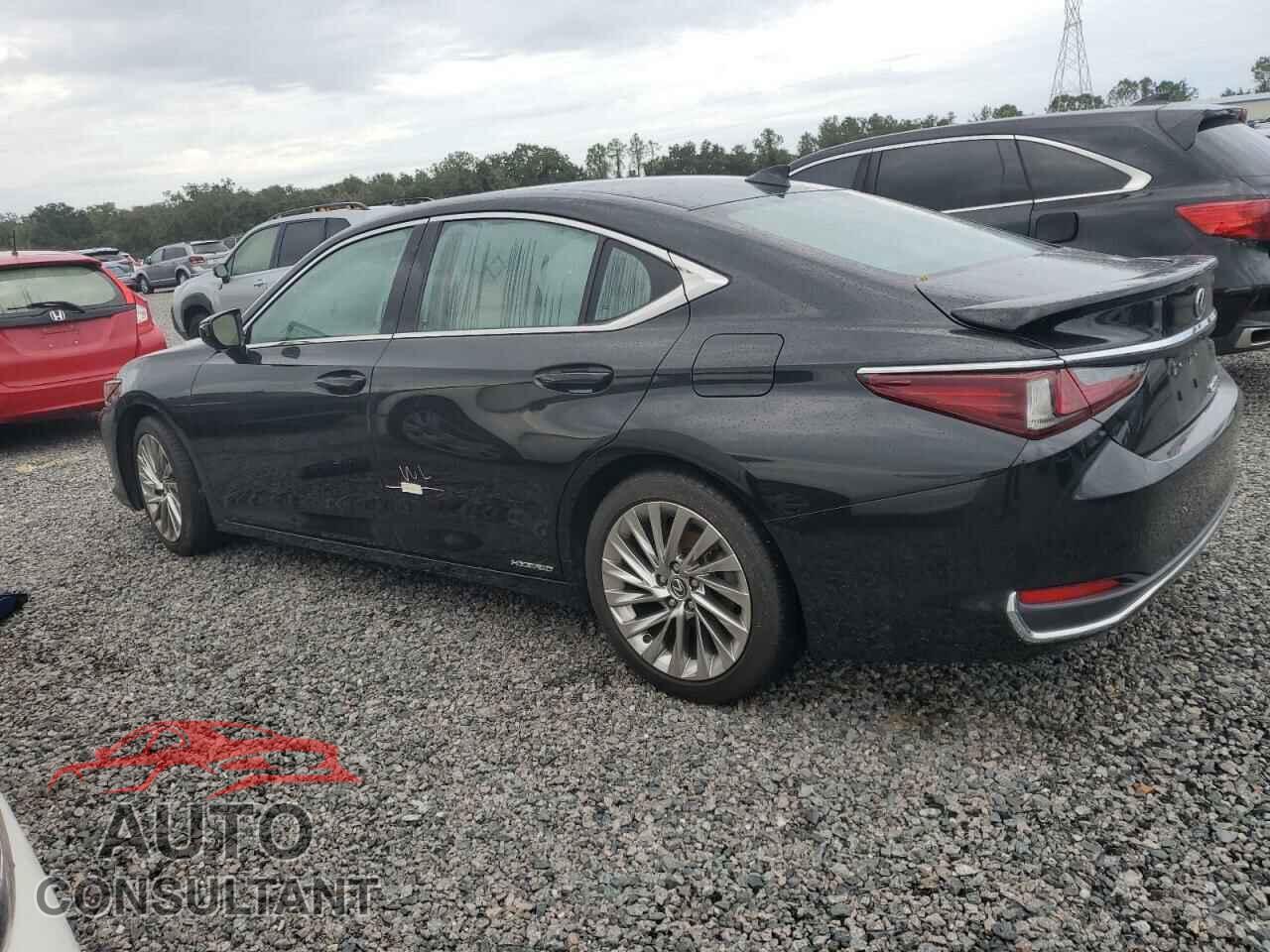 LEXUS ES300 2022 - 58AFA1C19NU014159