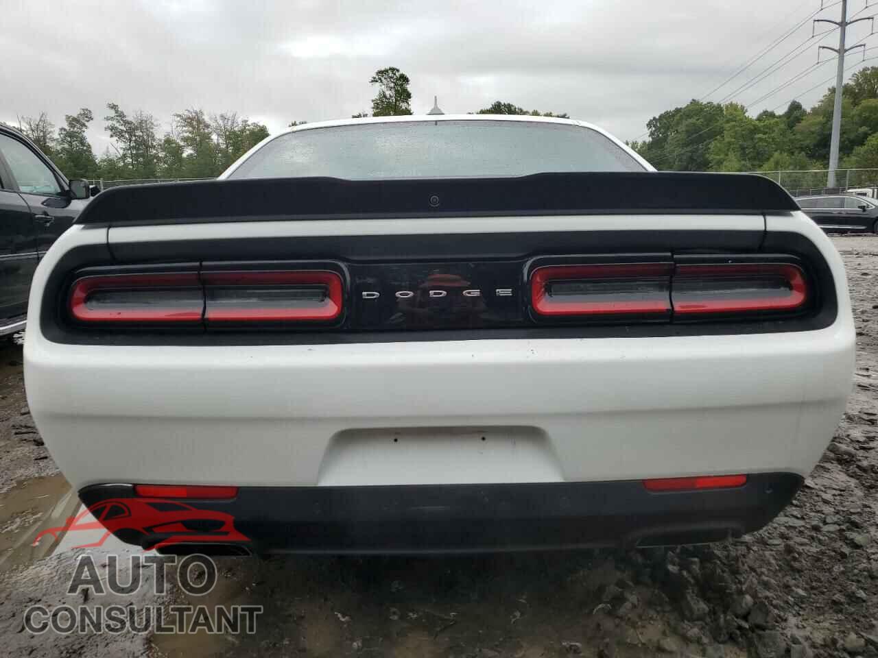 DODGE CHALLENGER 2023 - 2C3CDZBT6PH500073