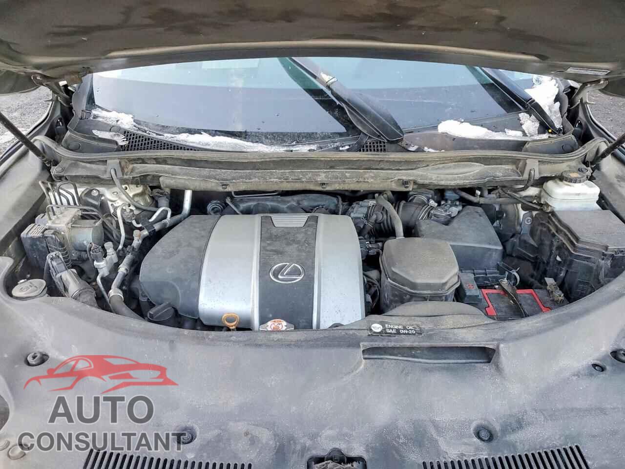 LEXUS RX350 2019 - 2T2BZMCAXKC211365