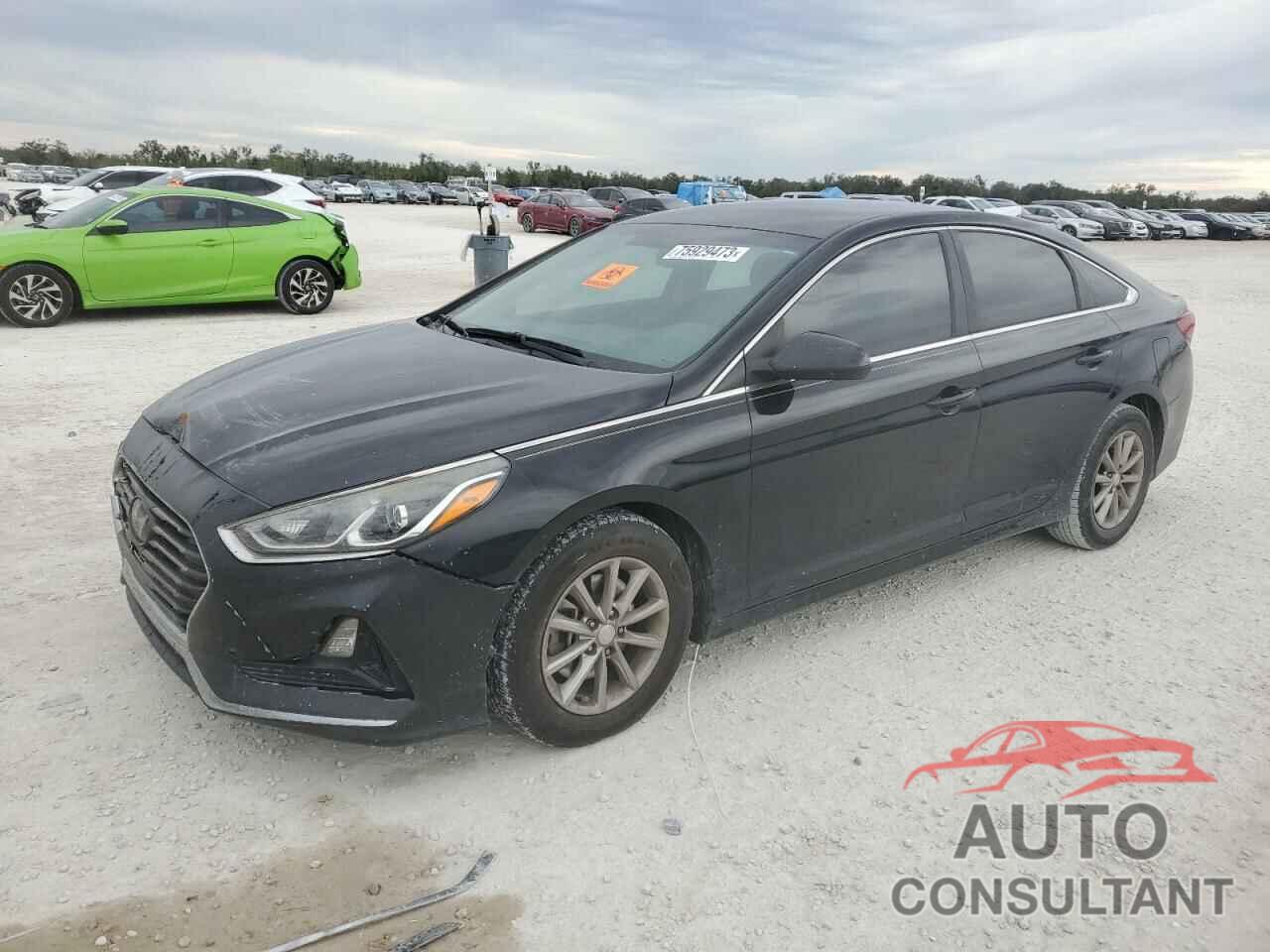 HYUNDAI SONATA 2019 - 5NPE24AF4KH766720