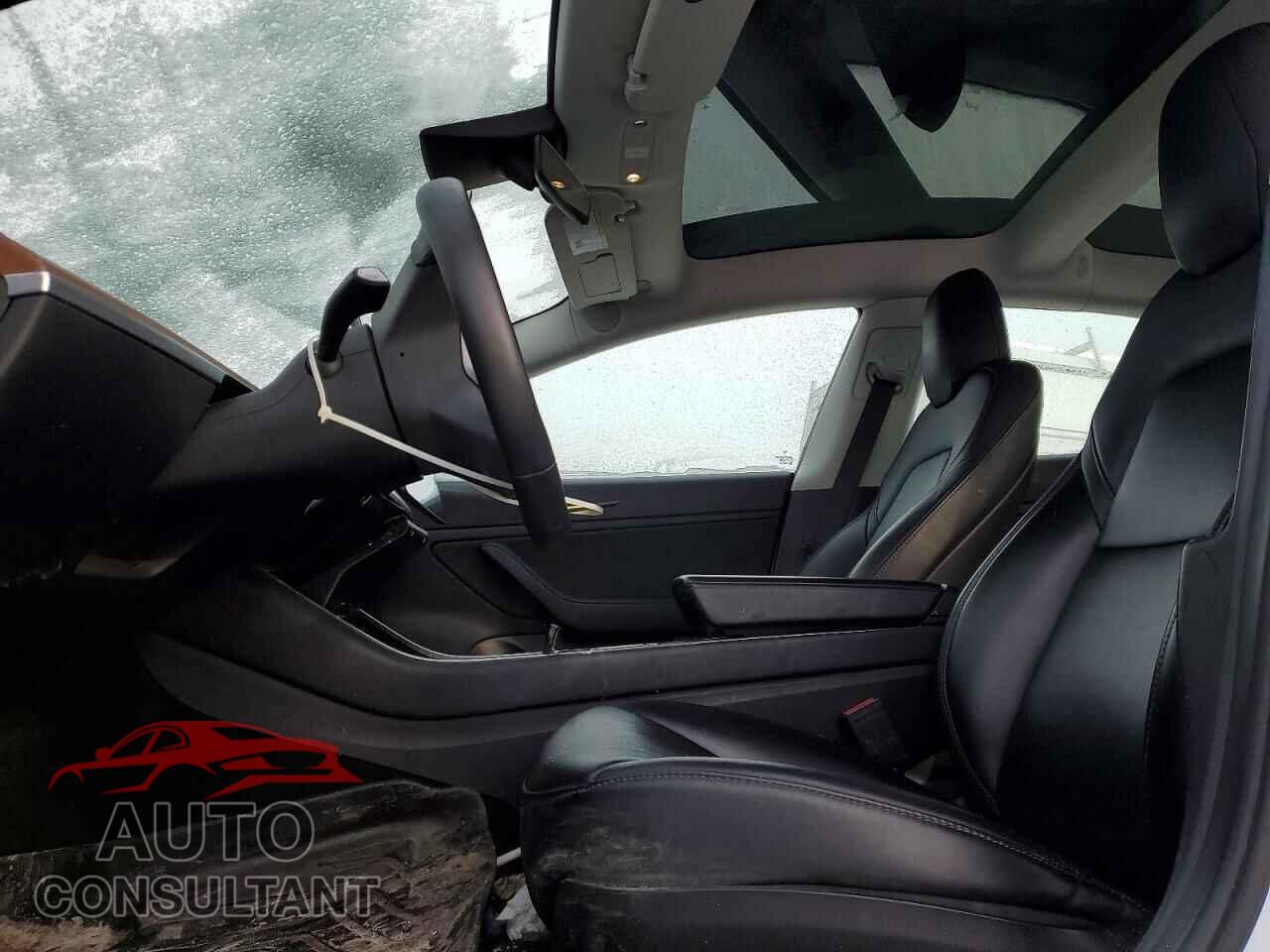 TESLA MODEL 3 2019 - 5YJ3E1EA8KF480413
