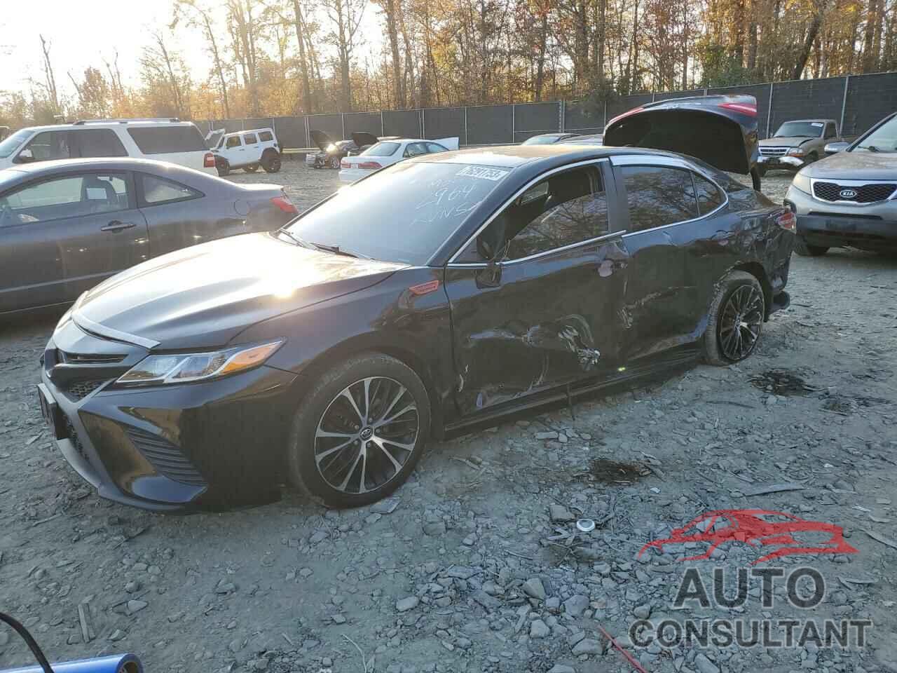 TOYOTA CAMRY 2019 - 4T1B11HK0KU762964