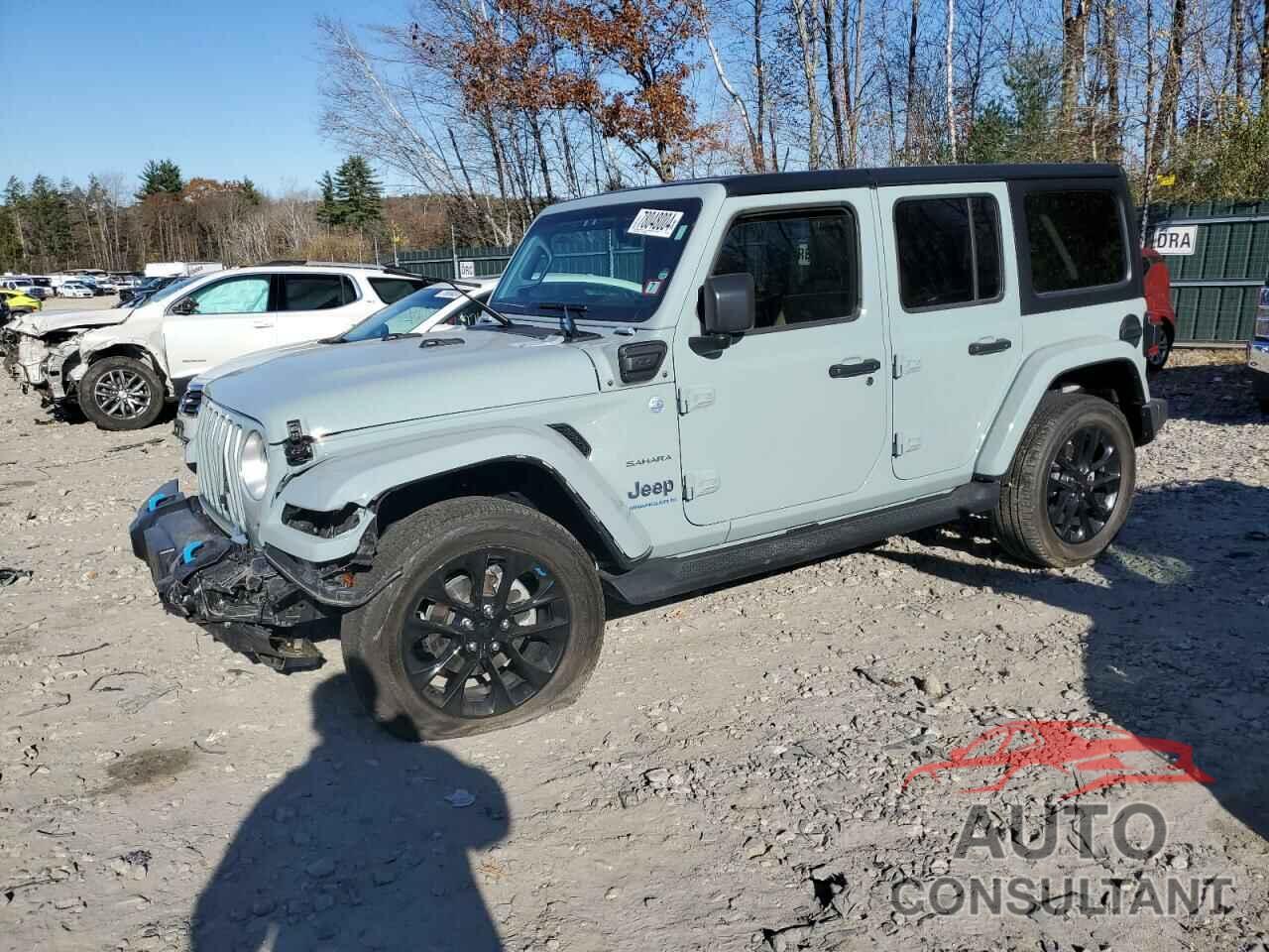 JEEP WRANGLER 2023 - 1C4JJXP6XPW685605