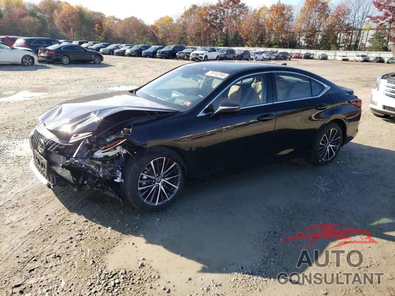 LEXUS ES300 2024 - 58ADA1C15RU049262