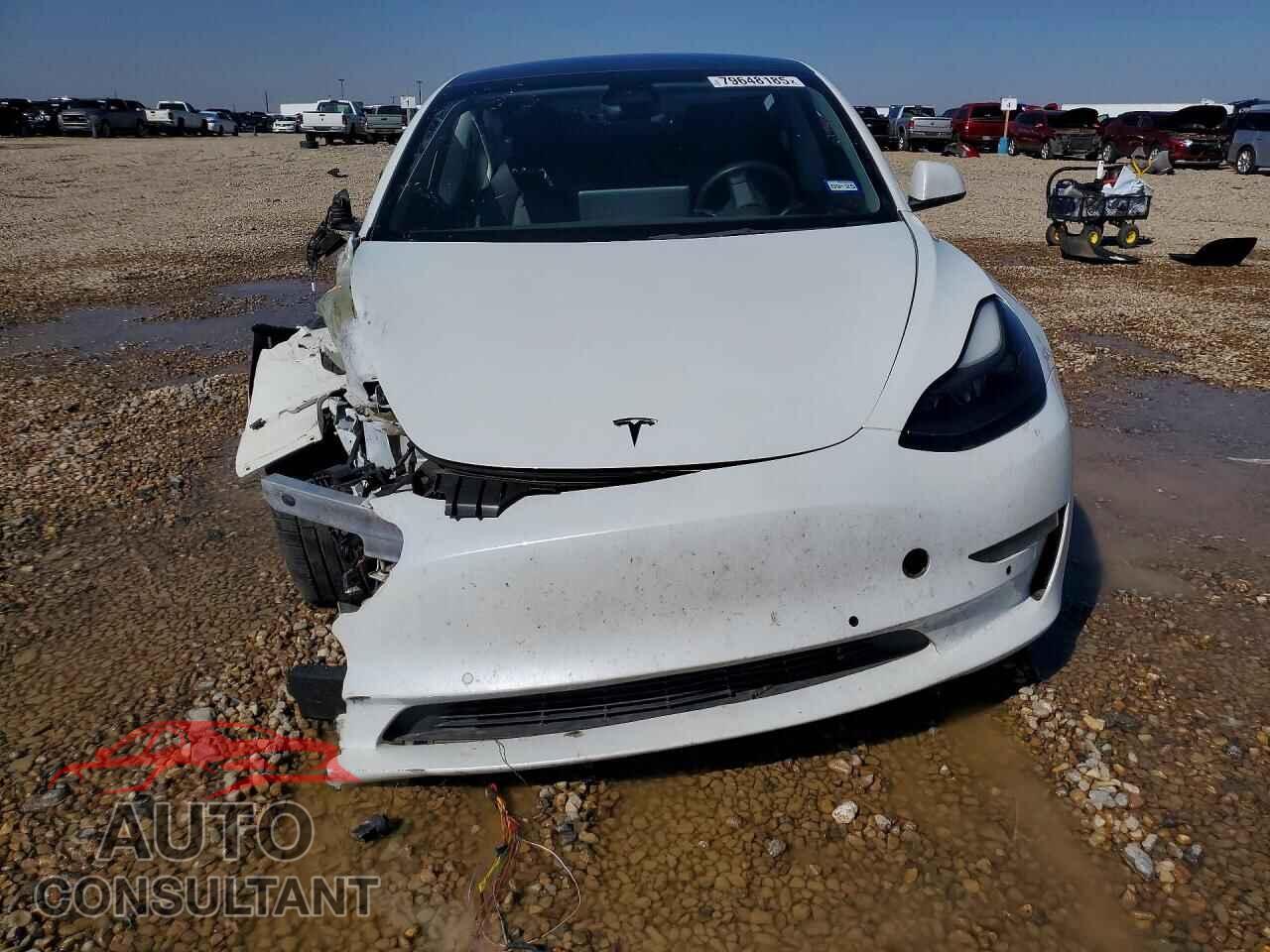 TESLA MODEL 3 2021 - 5YJ3E1EA4MF095160