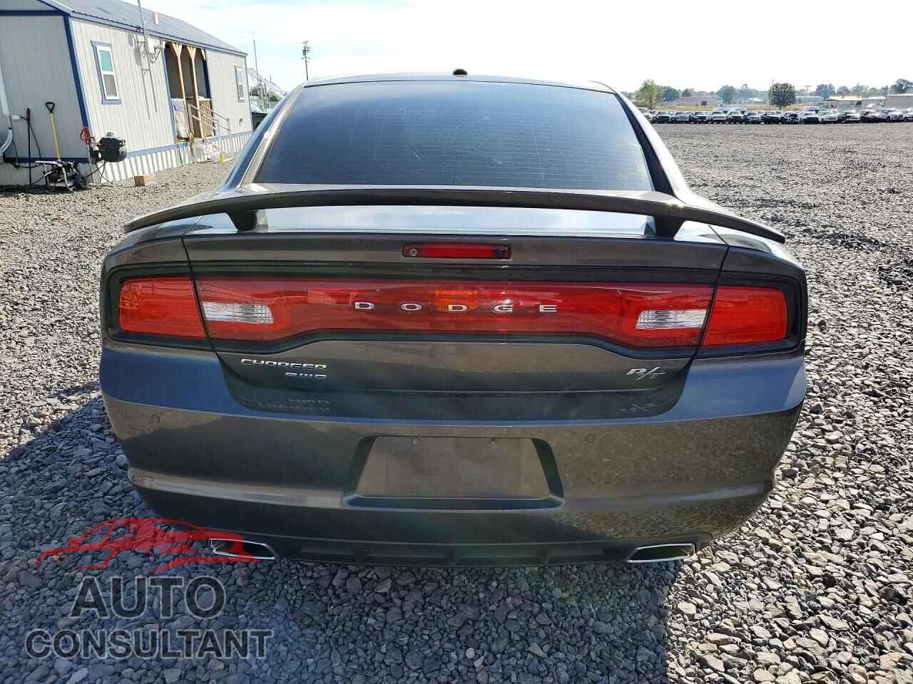 DODGE CHARGER 2014 - 2C3CDXDT8EH296357