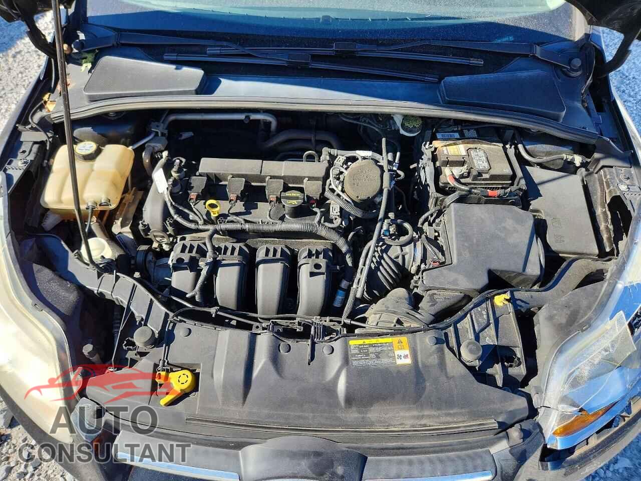 FORD FOCUS 2013 - 1FADP3K26DL175974