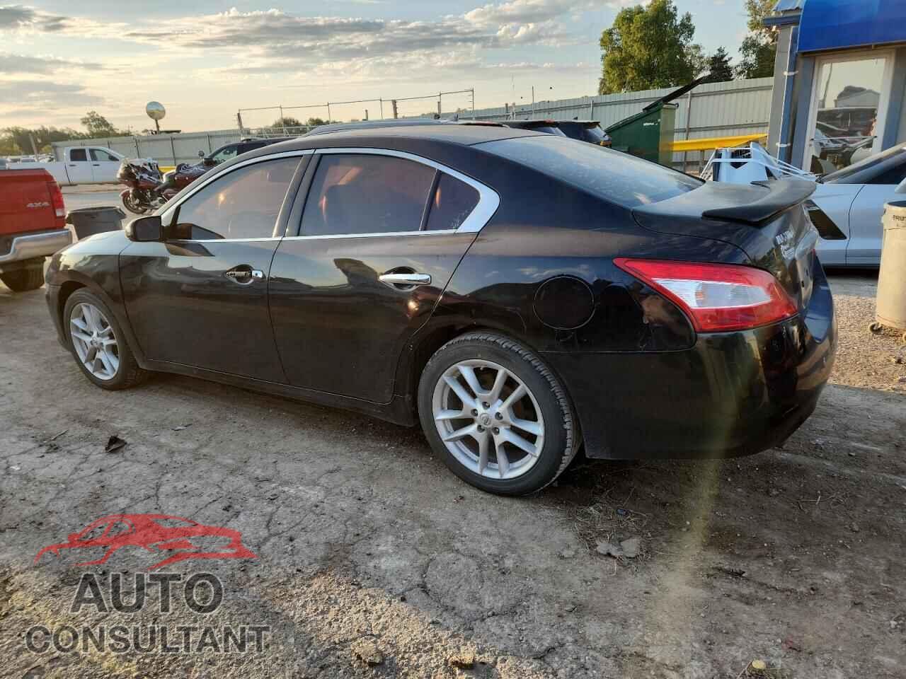 NISSAN MAXIMA 2009 - 1N4AA51E49C817904