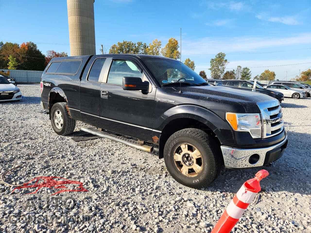 FORD F150 2010 - 1FTFX1EV4AFB66309