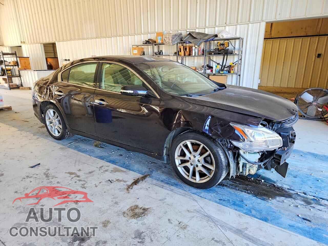 NISSAN MAXIMA 2011 - 1N4AA5AP2BC856286