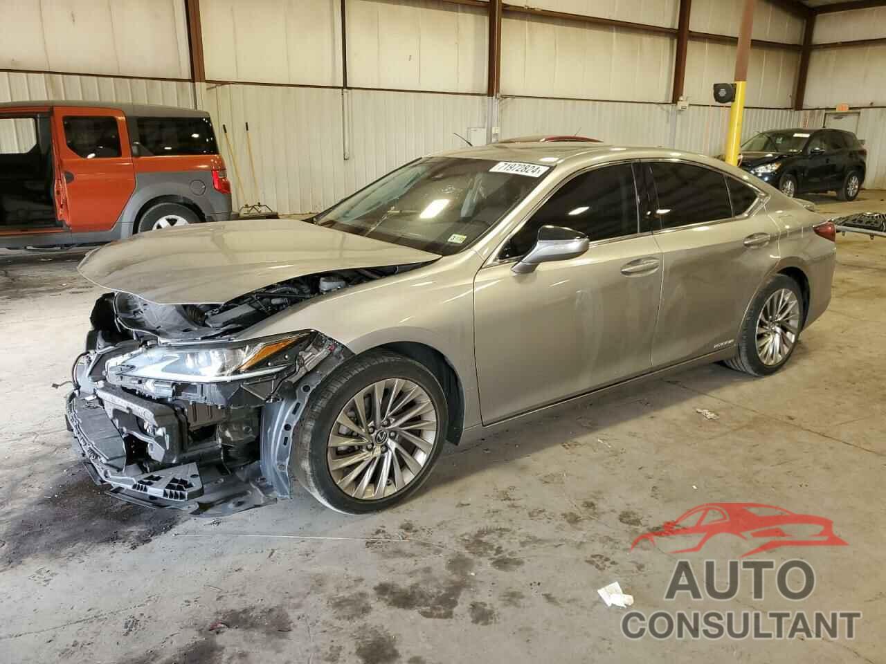 LEXUS ES300 2019 - 58AB21B14KU002977