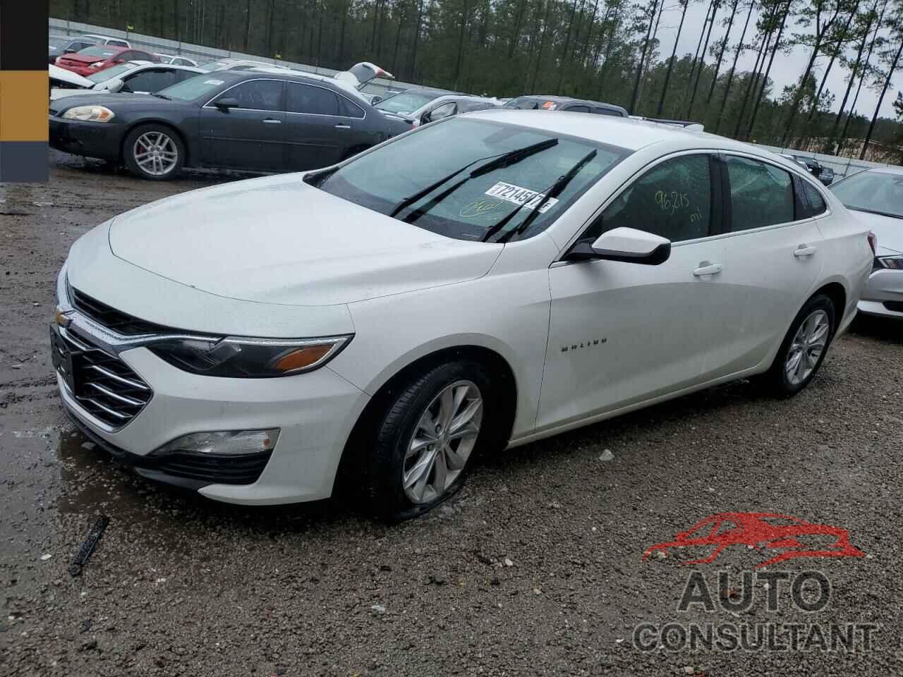 CHEVROLET MALIBU 2019 - 1G1ZD5ST6KF156682
