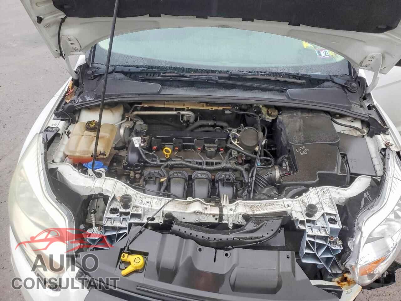 FORD FOCUS 2014 - 1FADP3E20EL215060
