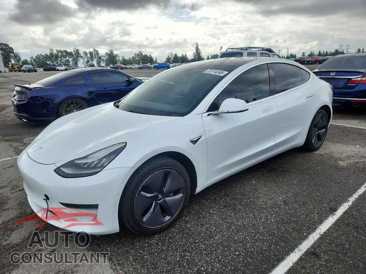 TESLA MODEL 3 2019 - 5YJ3E1EB7KF388394