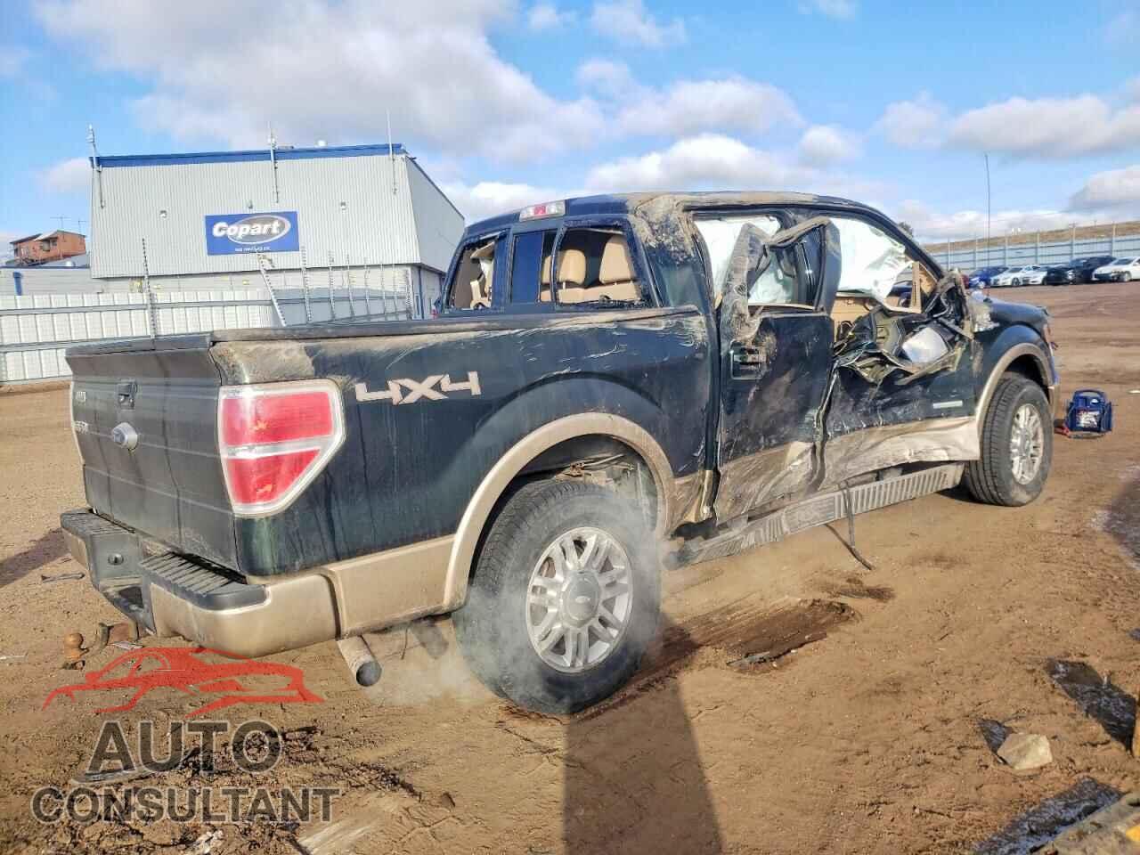 FORD F-150 2012 - 1FTFW1ET3CFB42703