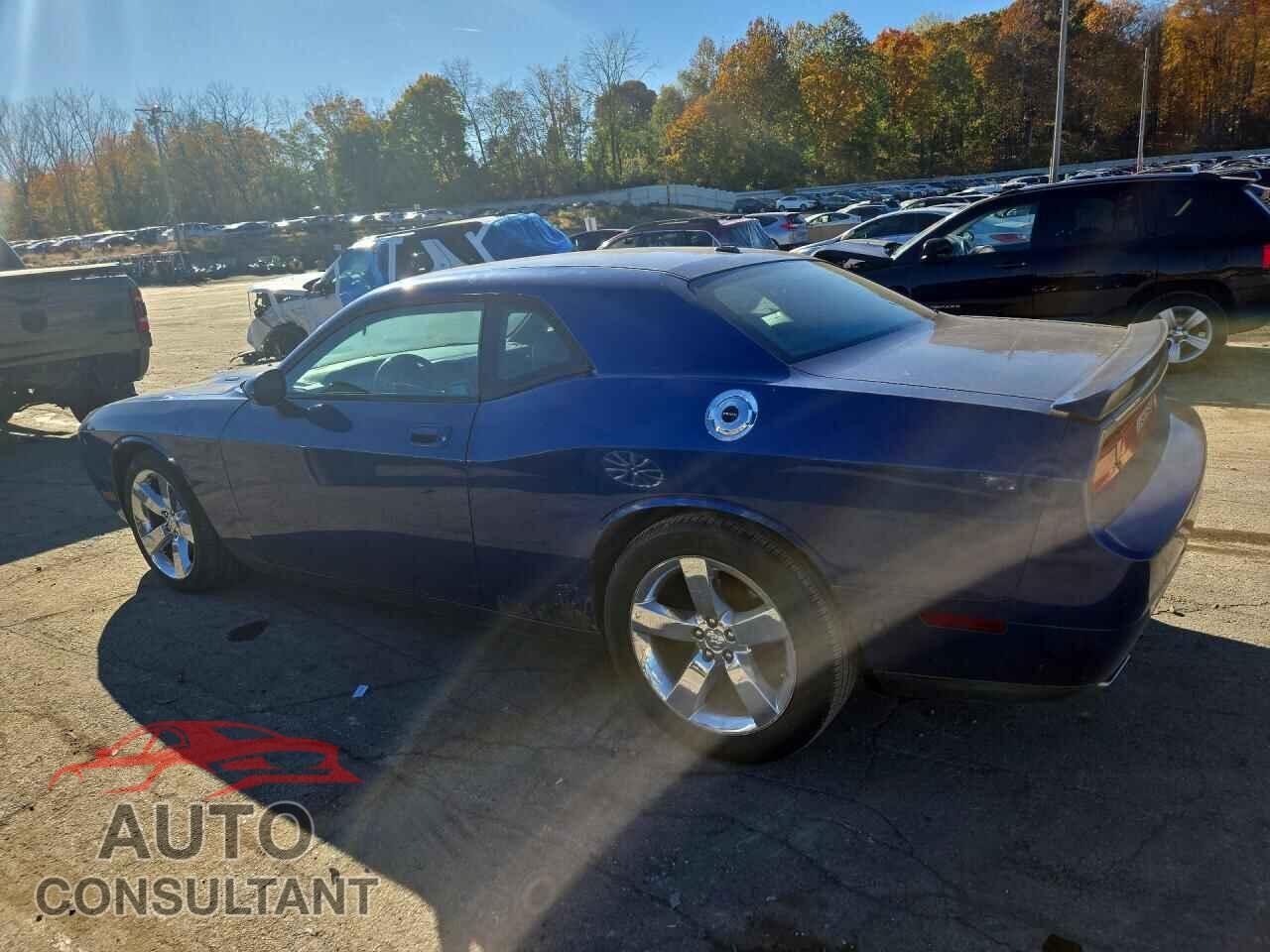 DODGE CHALLENGER 2010 - 2B3CJ5DT4AH109202