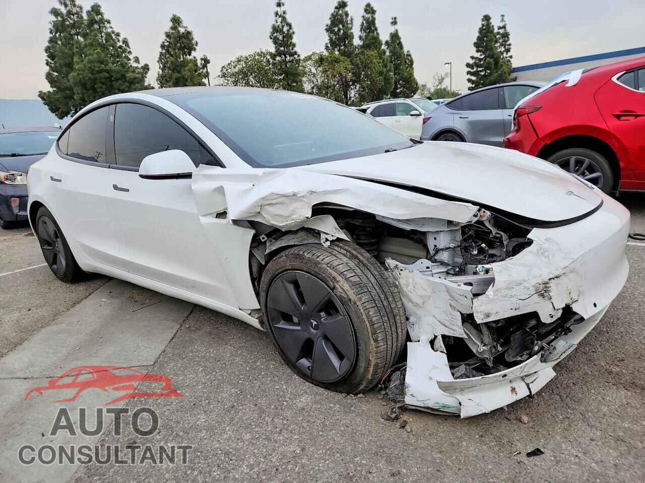 TESLA MODEL 3 2021 - 5YJ3E1EA5MF940422