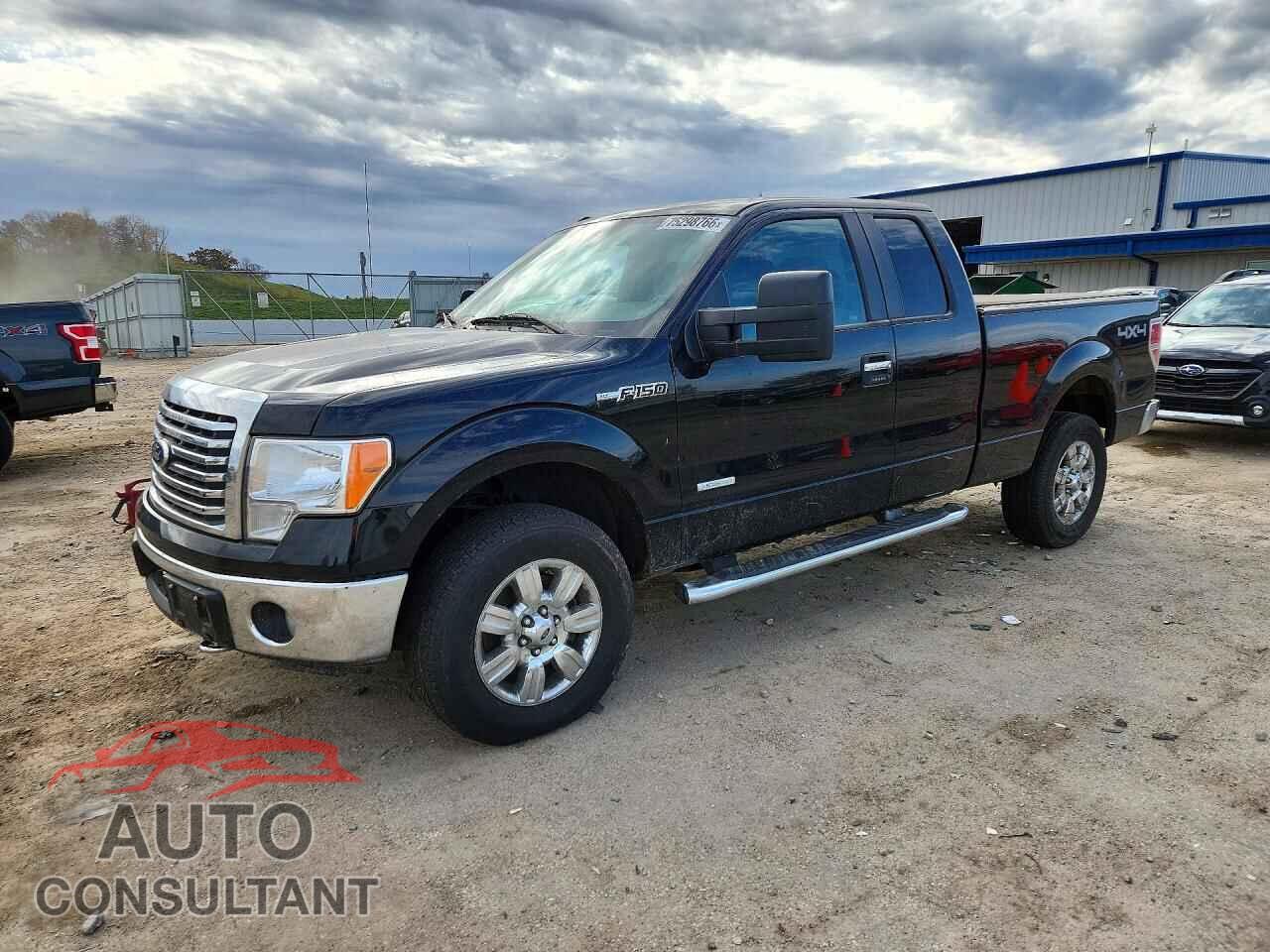 FORD F150 2011 - 1FTFX1ET8BFC56577