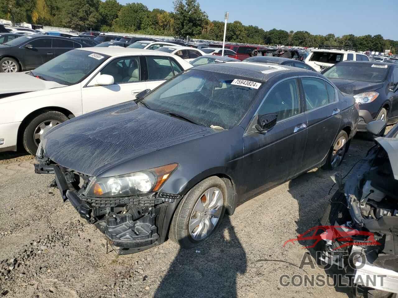 HONDA ACCORD 2009 - 1HGCP36809A047559