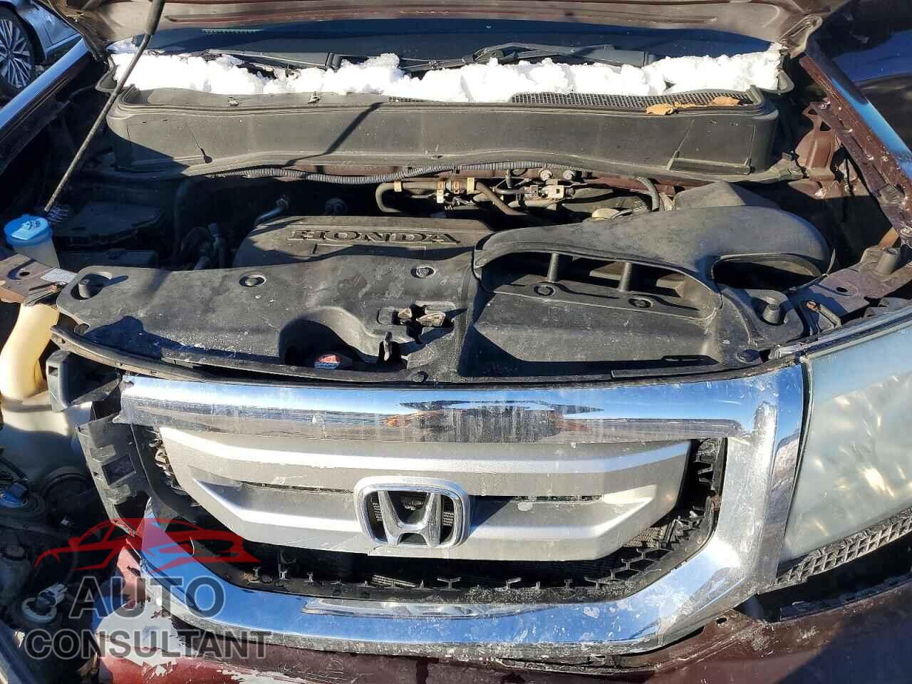 HONDA PILOT 2009 - 5FNYF48809B045327