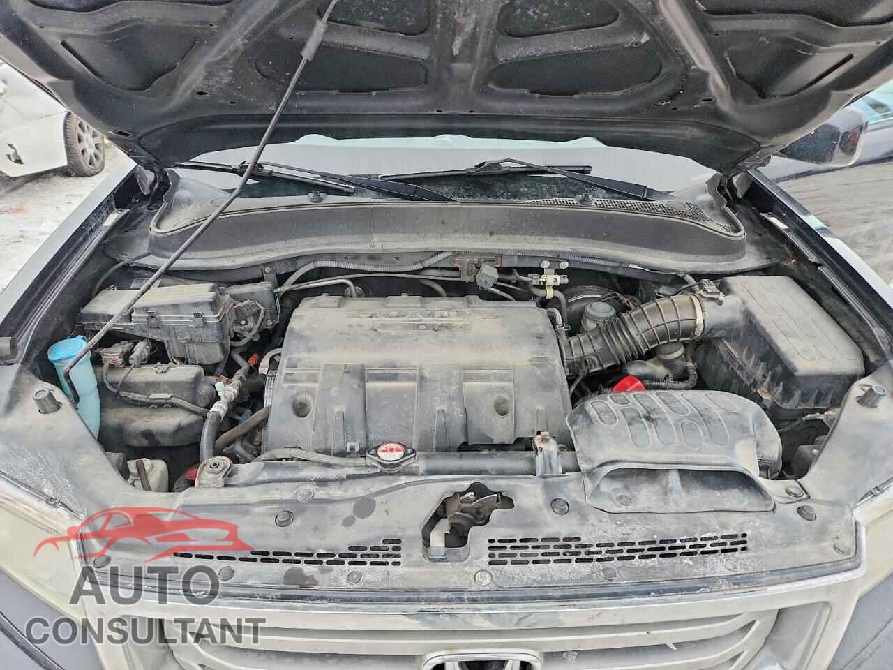 HONDA RIDGELINE 2013 - 5FPYK1F53DB009862
