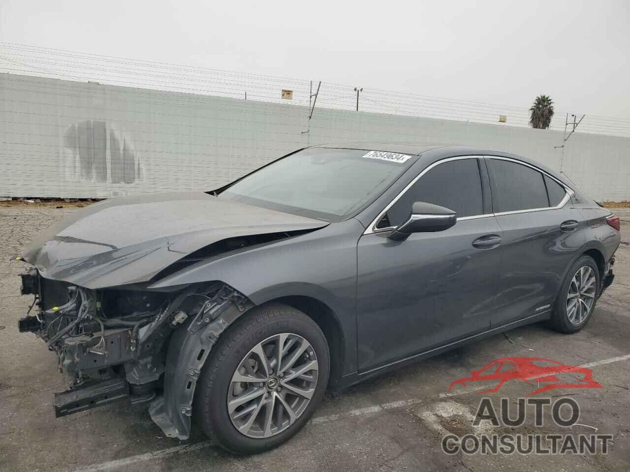 LEXUS ES300 2022 - 58ACA1C1XNU014447