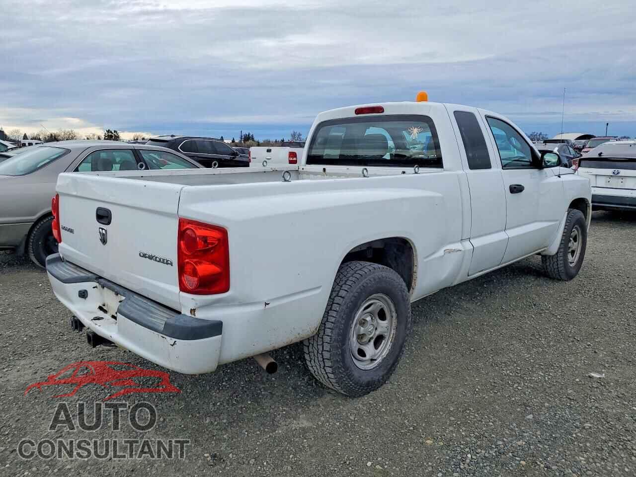 DODGE DAKOTA 2011 - 1D7RE2BK2BS666874