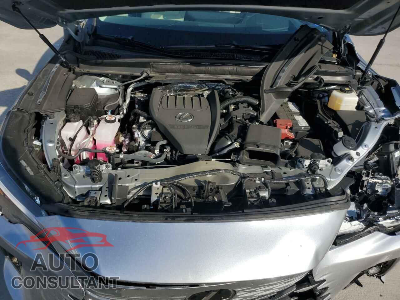 LEXUS RX350 2024 - 2T2BAMBA2RC038010