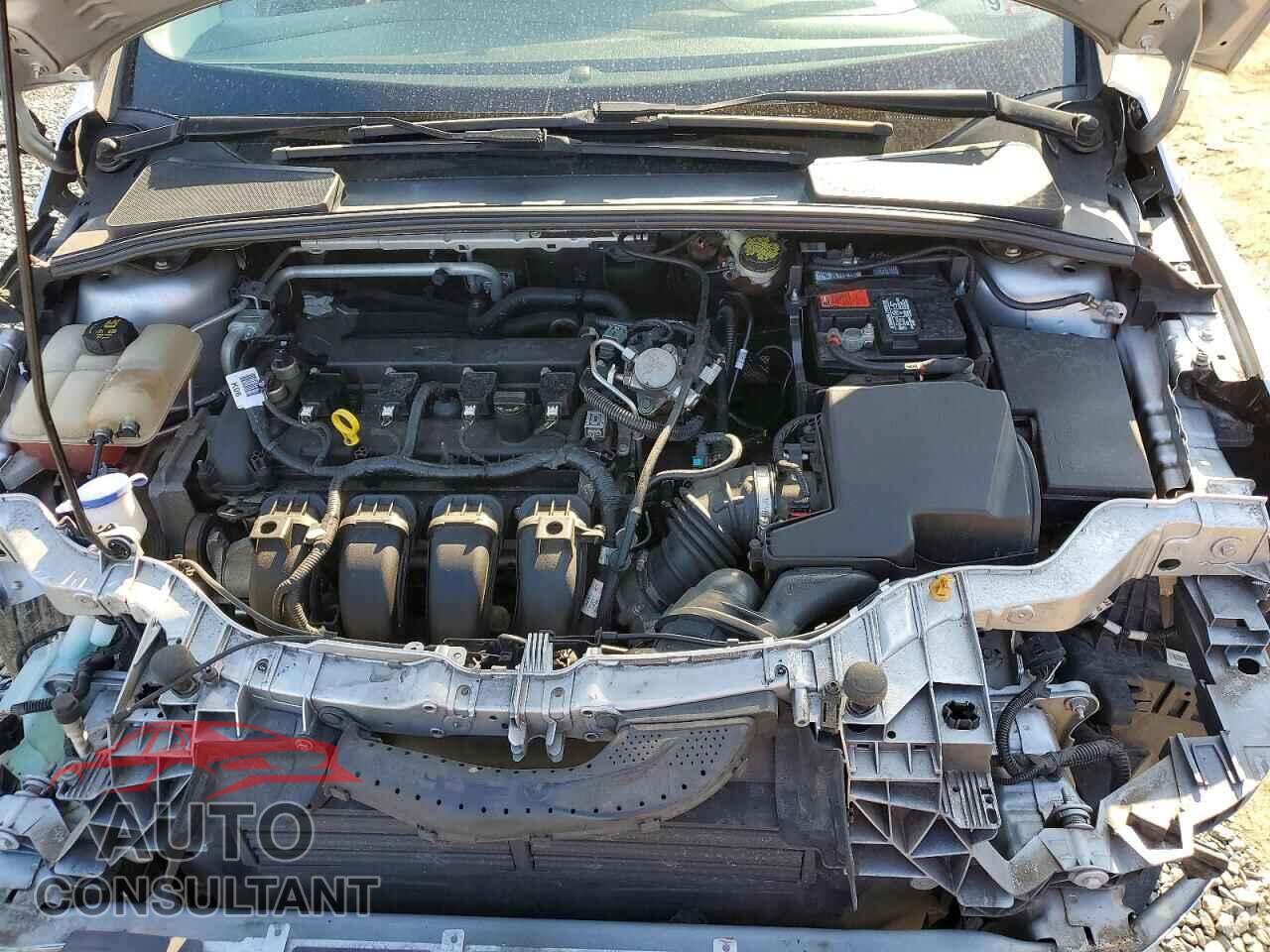 FORD FOCUS 2016 - 1FADP3E29GL335703