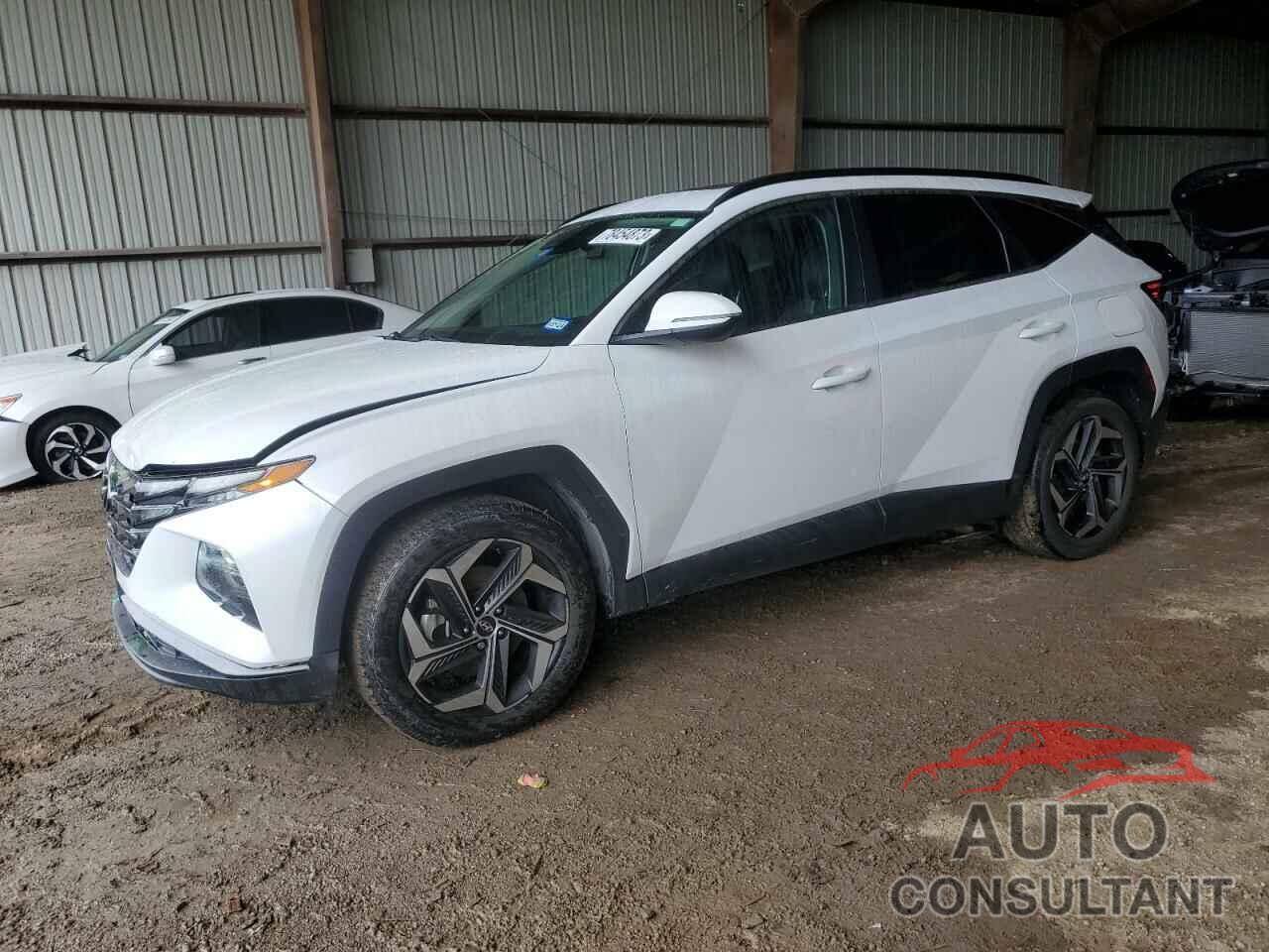 HYUNDAI TUCSON 2022 - 5NMJC3AE4NH021979