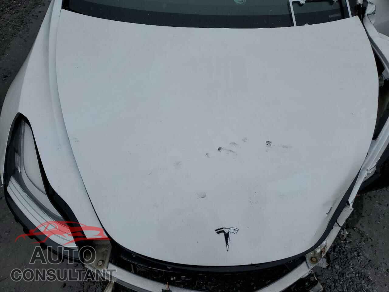 TESLA MODEL 3 2019 - 5YJ3E1EA1KF466479