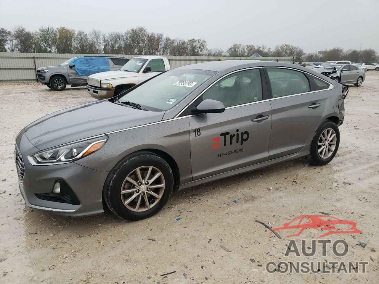 HYUNDAI SONATA 2019 - 5NPE24AF8KH778109
