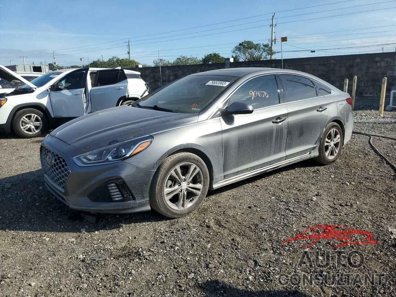HYUNDAI SONATA 2019 - 5NPE34AF4KH729759
