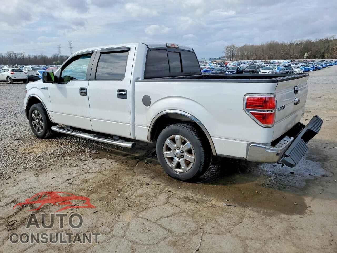 FORD F150 2014 - 1FTFW1CF2EFC26642
