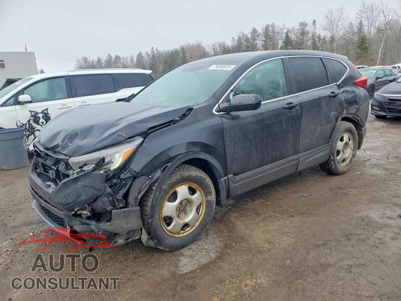 HONDA CRV 2019 - 2HKRW2H2XKH116206