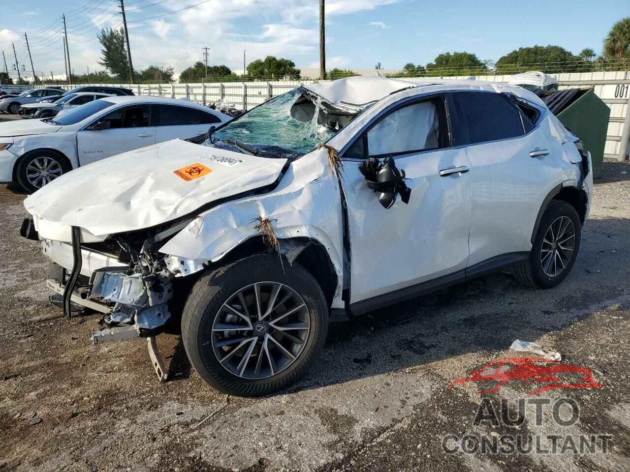 LEXUS NX 250 2023 - JTJADCAZ9P2006527