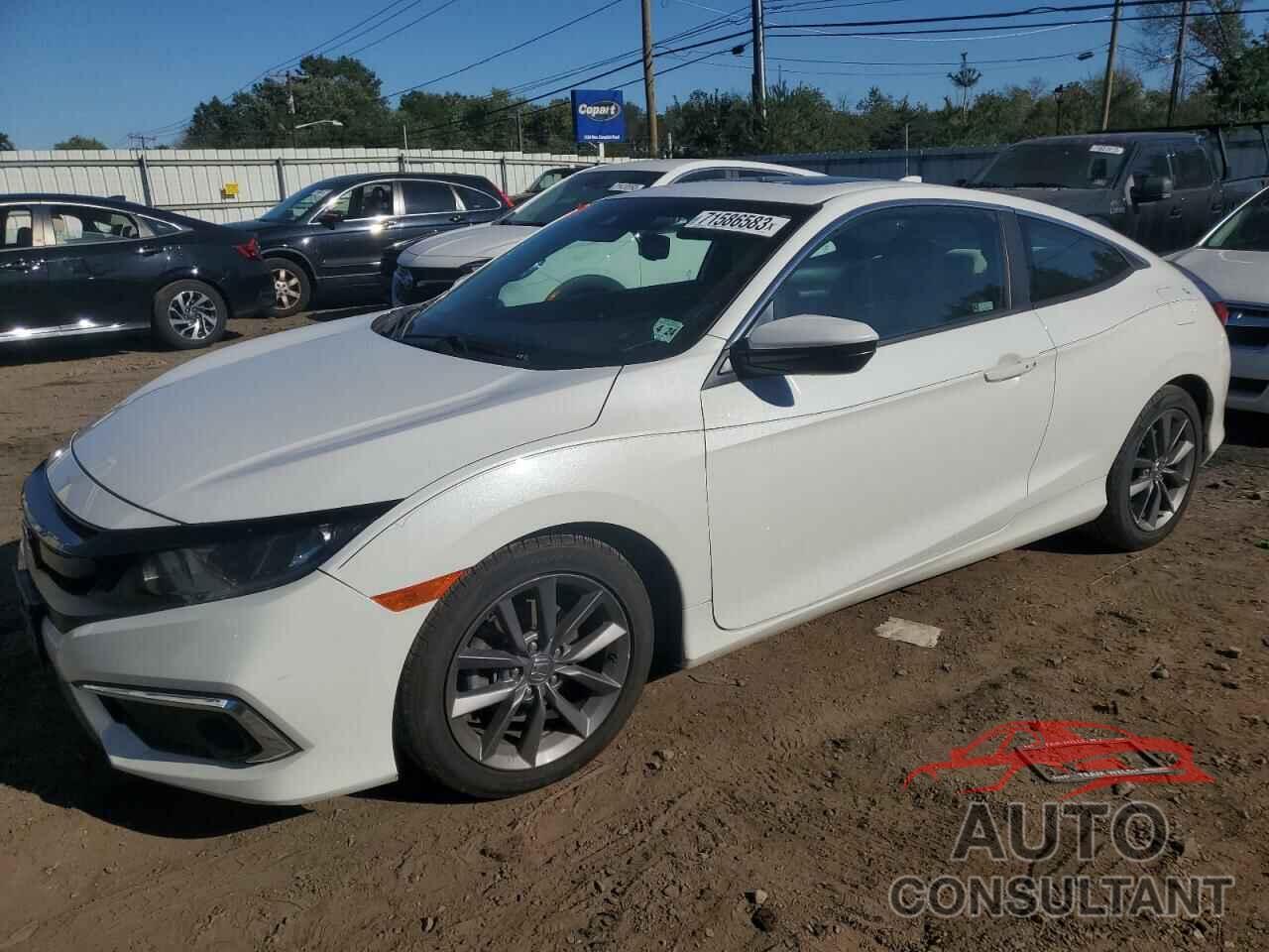 HONDA CIVIC 2019 - 2HGFC3B30KH354028