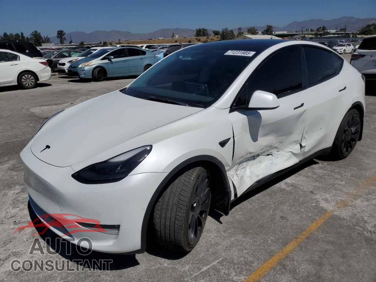 TESLA MODEL Y 2022 - 7SAYGDEF2NF501101