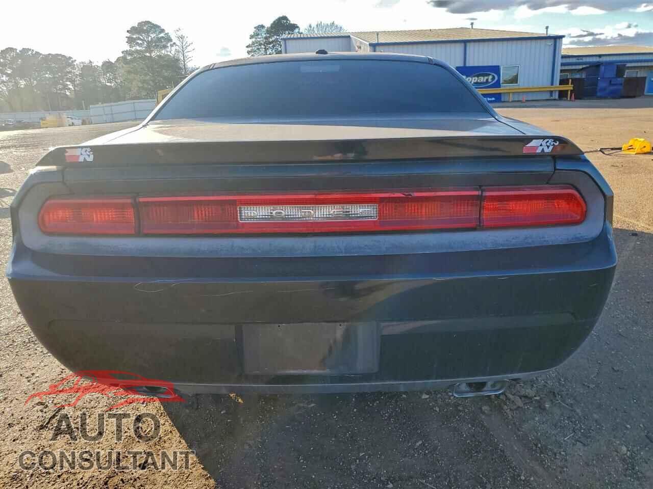 DODGE CHALLENGER 2010 - 2B3CJ5DT0AH314855