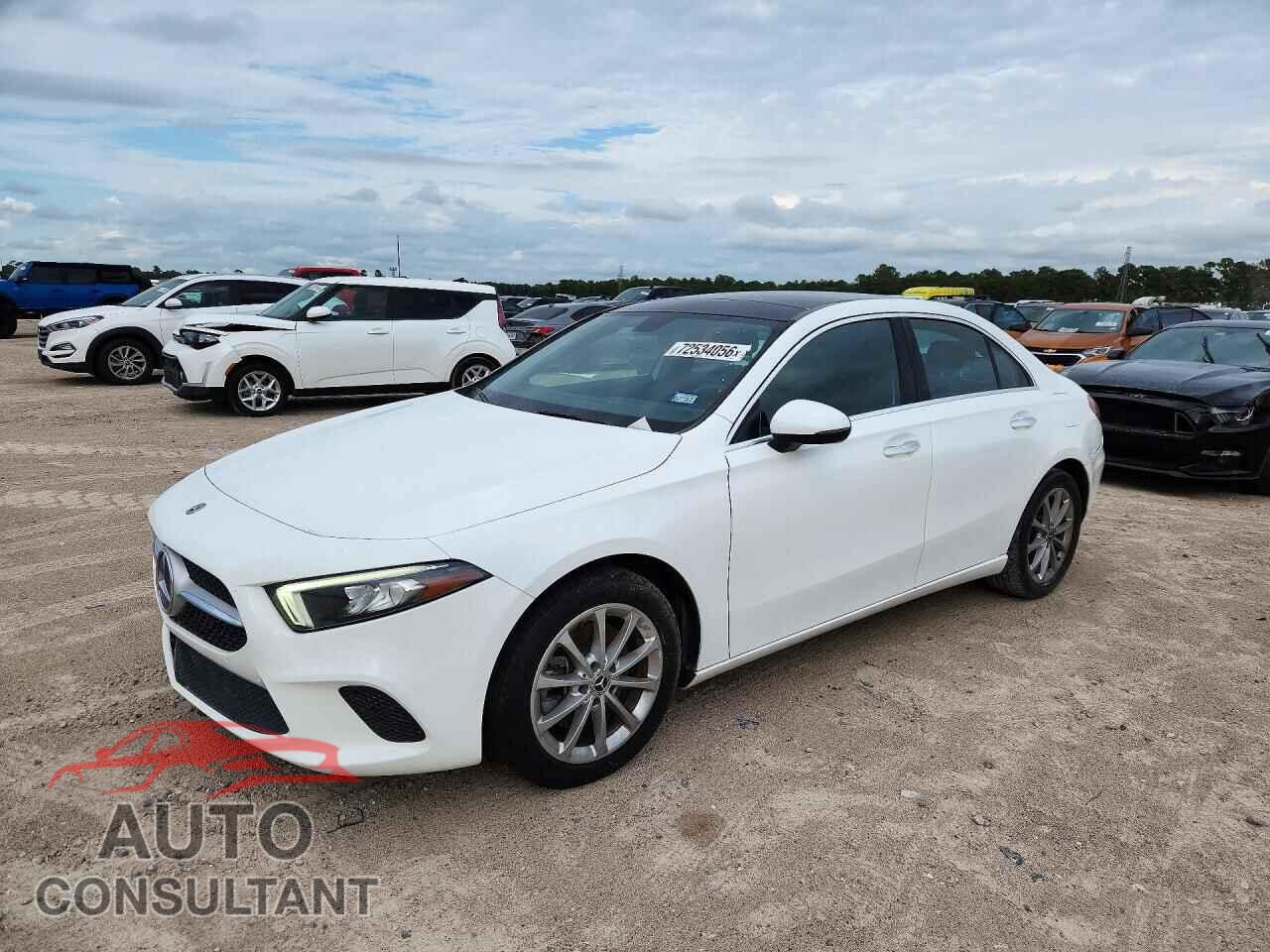 MERCEDES-BENZ A-CLASS 2019 - WDD3G4EB3KW025720