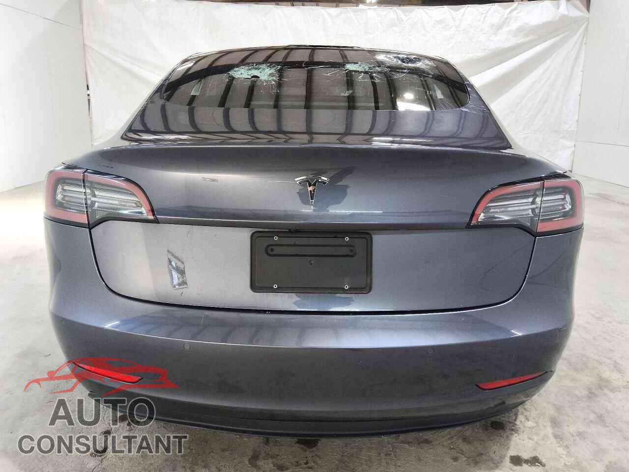 TESLA MODEL 3 2019 - 5YJ3E1EA4KF317175