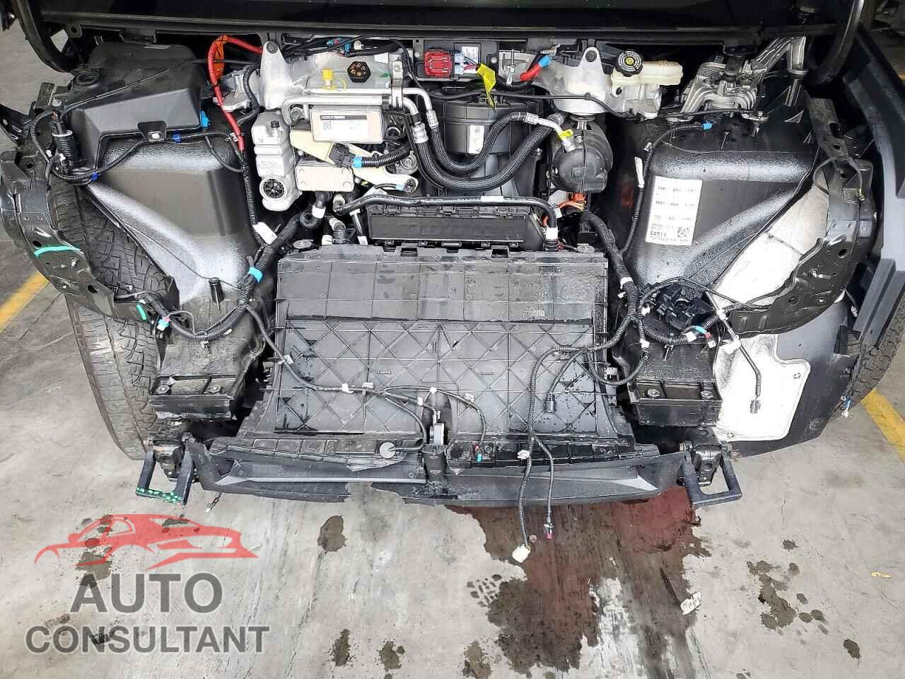 TESLA CYBERTRUCK 2025 - 7G2CEHED2SA074401