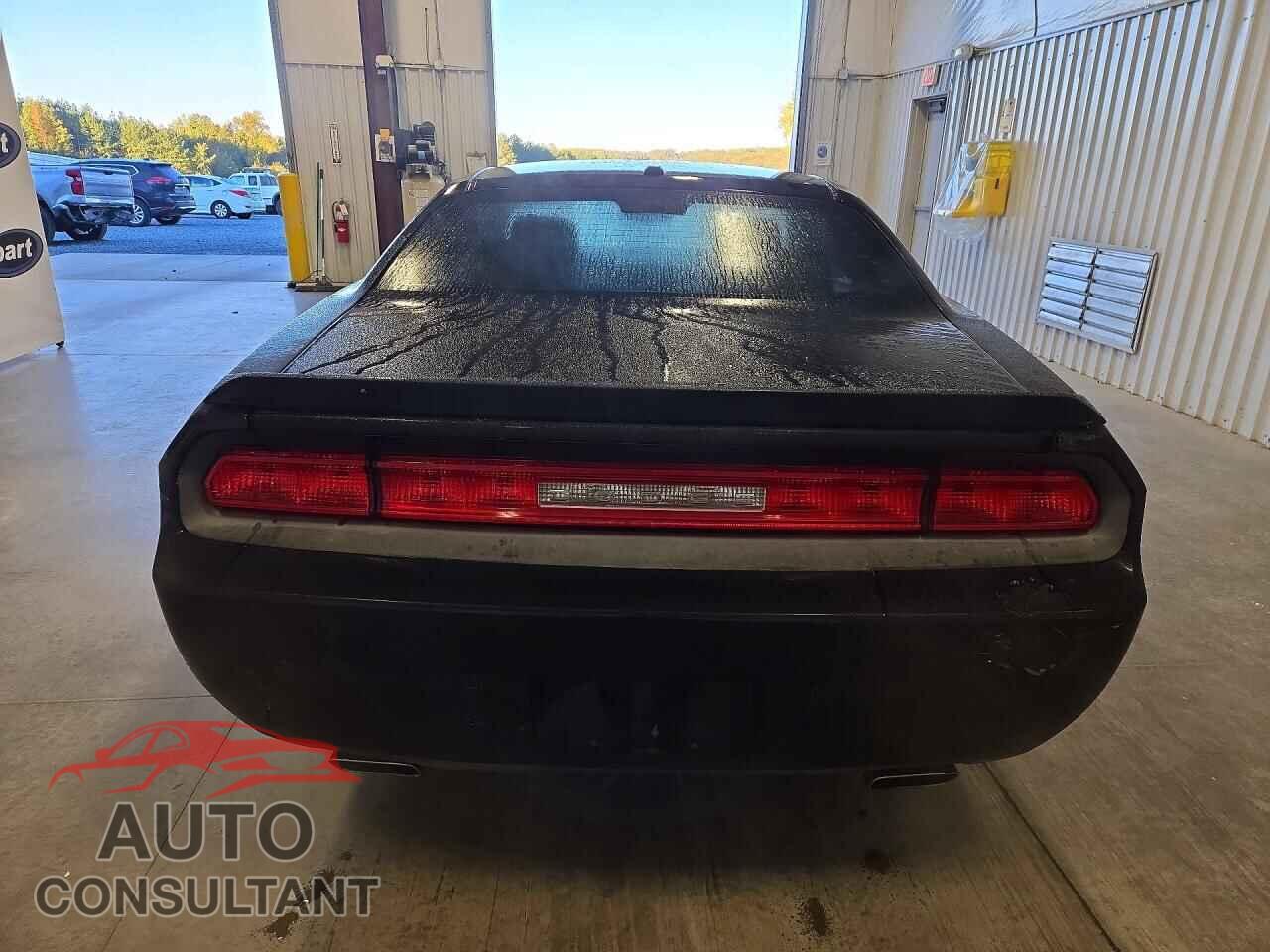 DODGE CHALLENGER 2014 - 2C3CDYAG0EH205160