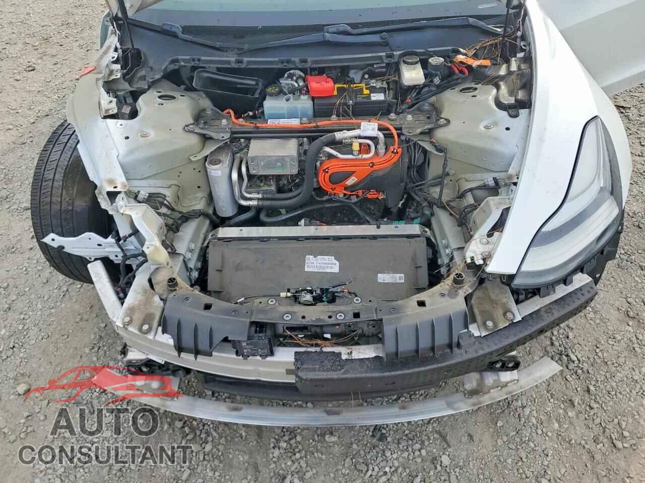 TESLA MODEL 3 2021 - 5YJ3E1EA7MF852083