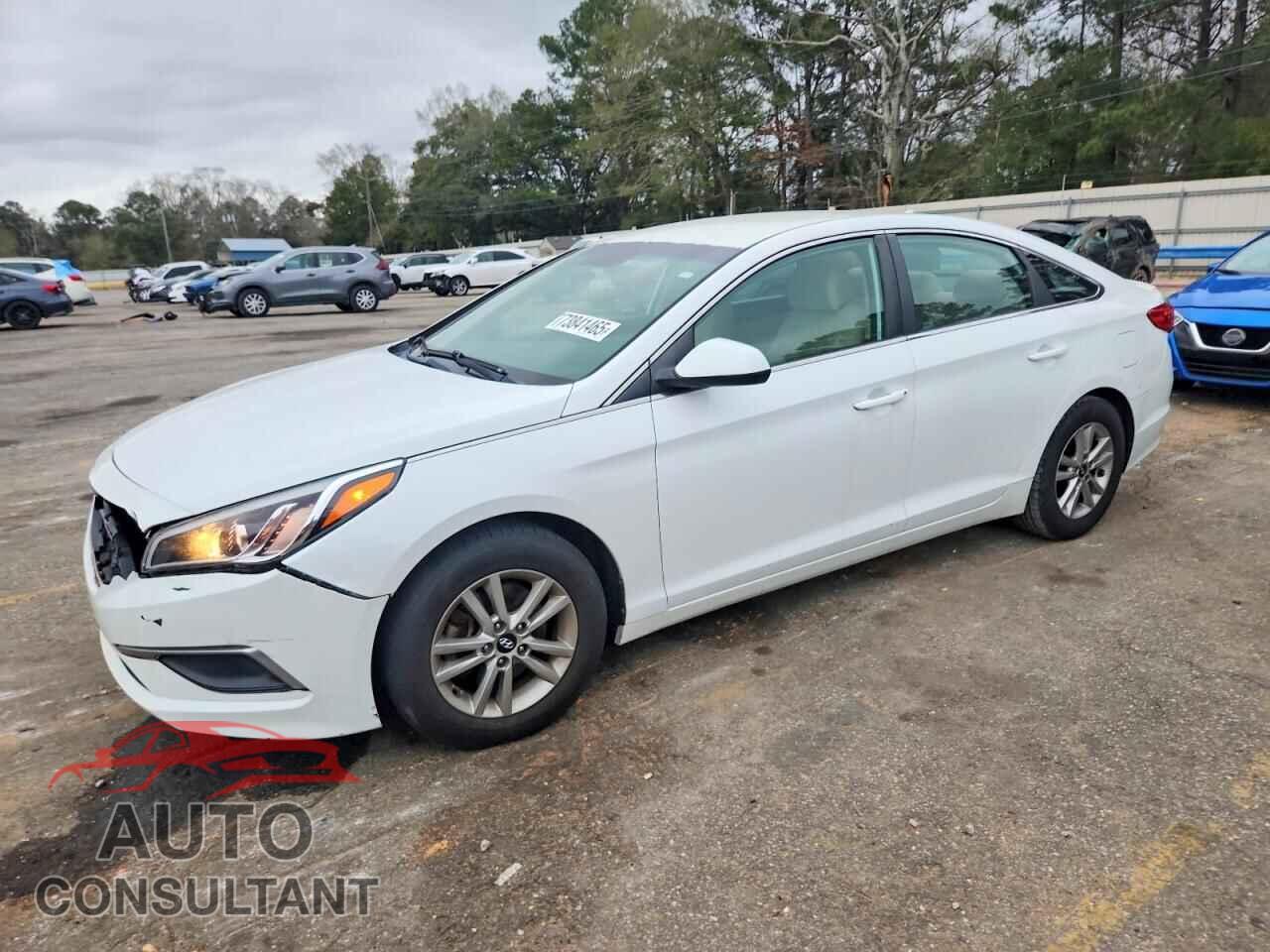 HYUNDAI SONATA 2017 - 5NPE24AF1HH539123