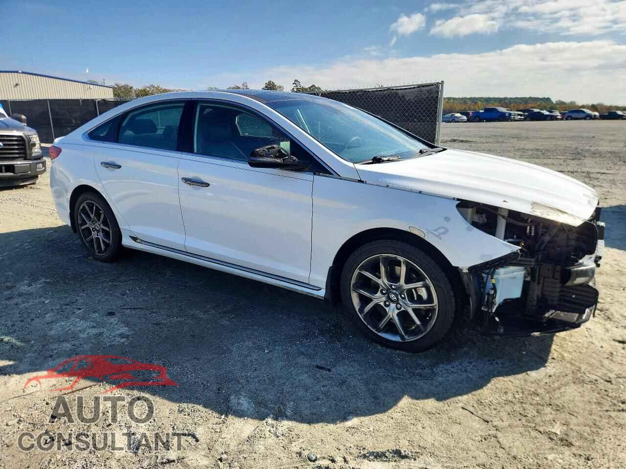 HYUNDAI SONATA 2019 - 5NPE34AB2KH795773